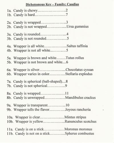 Dichotomous Key Examples Biology