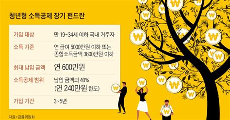 만19~34세 청년 위한 펀드 최대 240만원 소득공제