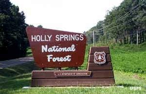 Holly Springs National Forest