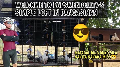 Magaganda Na Silamga Kalapati Ko Sa Probinsya Ngayon Lang Ulit Naka