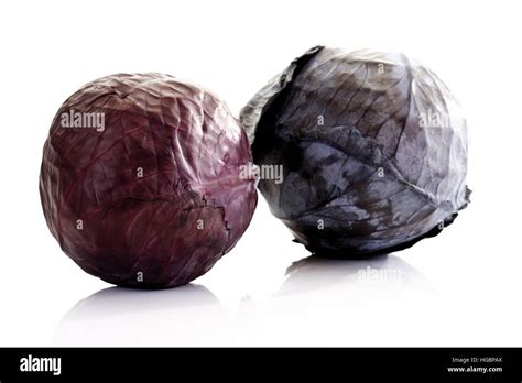 Two Heads Of Red Cabbage Stock Photo Alamy