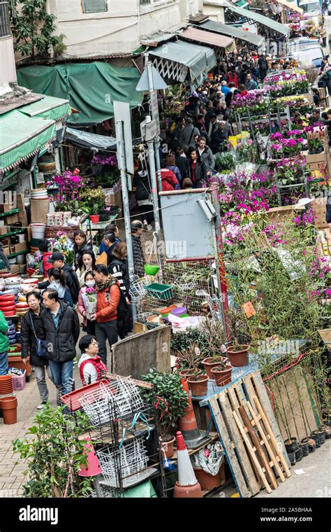 People Shop For Flowering Plants In The Mong Kok Flower Market Of