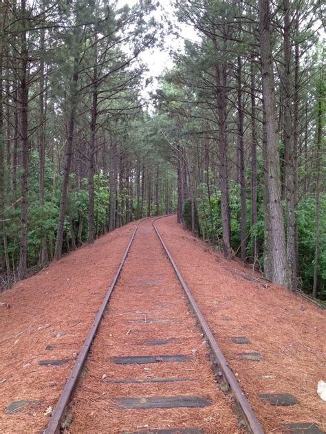 Old tracks in Stone Mountain Park- Stone Mountain,ga | Stone mountain ...