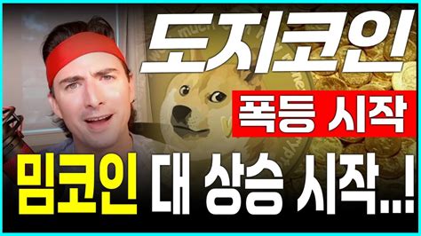 도지코인 전망 밈코인 대 상승 시작 이 코인은 600배 폭등합니다 Youtube