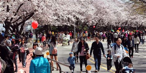 Taking A Stroll Through Seoul The Streets Of South Koreas Capital