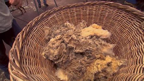 Wool Waste Low Grade Wool Being Transformed Into High Value Products