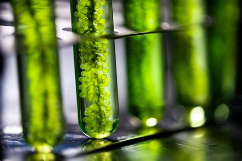 Bioproducts - Visionhunters.com