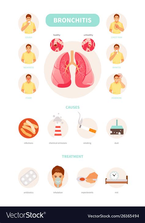 Bronchitis symptoms causes and treatment Vector Image