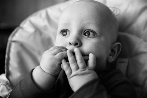 Laurence's Life on Behance