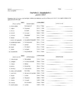 Auténtico 3 Chapter 2 1 Vocab True False by Low Prep Teaching