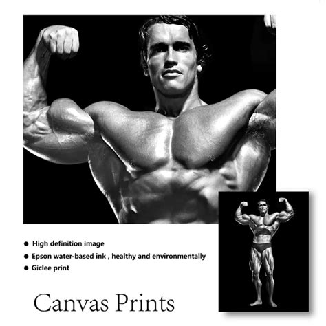 Arnold Schwarzenegger Biceps Size