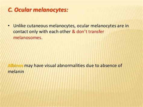 Melanocytes Definition Anatomy - Anatomical Charts & Posters