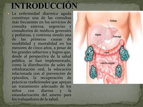 Enfermedades Diarreicas Agudasexpo Ppt