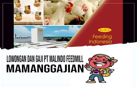 Lowongan Dan Gaji Pt Malindo Feedmill Mamanggajian