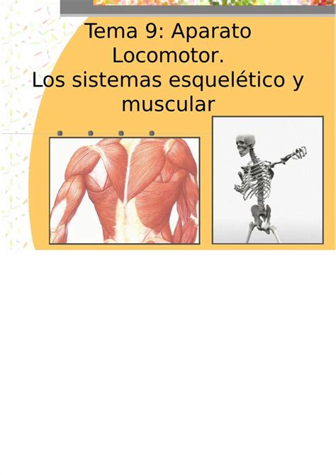 PDF Aparato Locomotor DOKUMEN TIPS