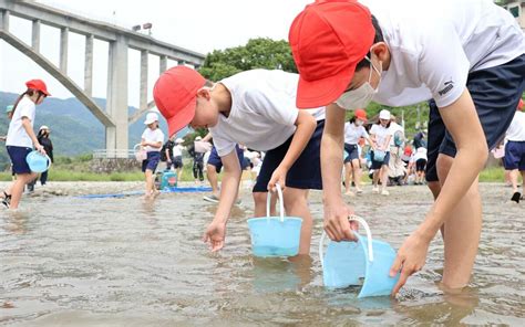 稚アユ大きく育って 三好市の小学生が放流体験｜徳島の話題｜徳島ニュース｜徳島新聞デジタル