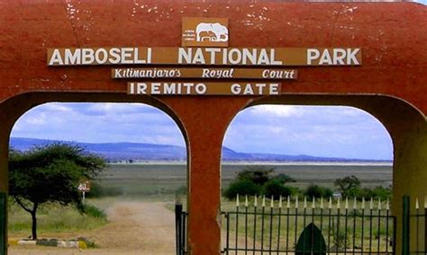 Amboseli National Park Entrance Fee Amboseli National Park Tours