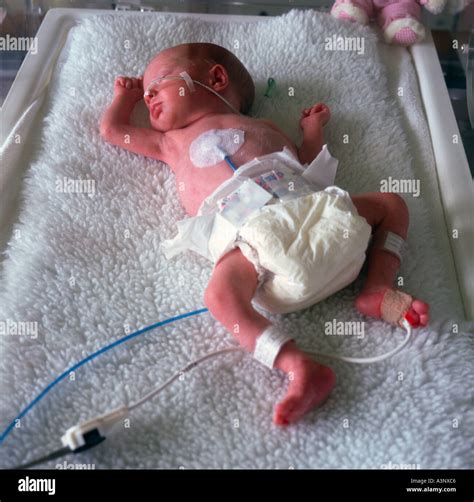 Premature Baby Incubator Hi Res Stock Photography And Images Alamy