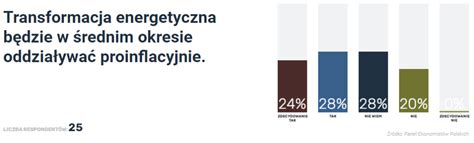 Panel Ekonomist W Polskich Inflacja W Roku Dobrobyt Na Pokolenia