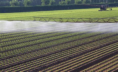 Agricultura Intensiva Que Es Y Como Gestionarla Agroptima Images