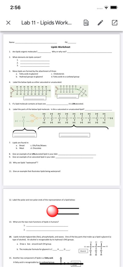 Lipid Worksheet Printable Word Searches