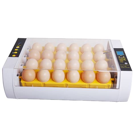 china digital mini incubator factory  manufacturers suppliers