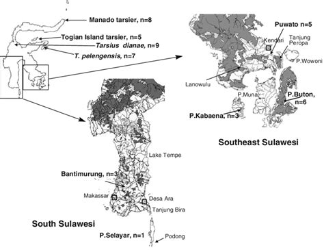 Map Of Sulawesi And Offshore Islands With Recording Sites Of Tarsier