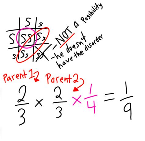 Intro To Pop Bio Chapter Questions Answers Flashcards Quizlet