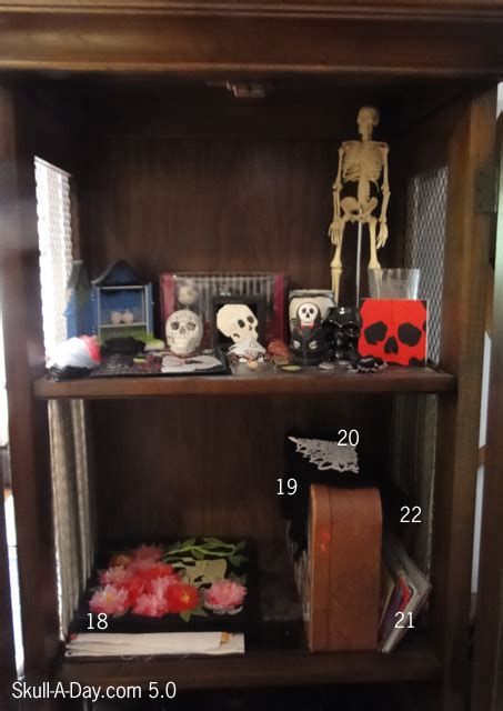 Bonus Abbys Cabinet Of Curiosities