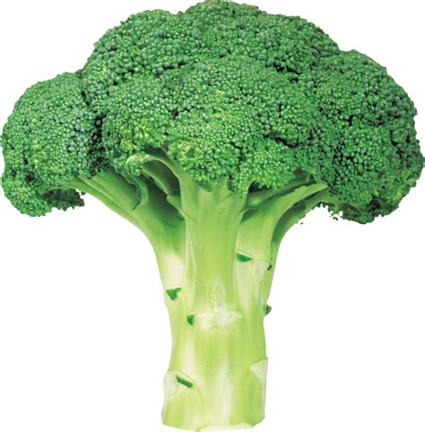 Broccoli Wallpapers - Wallpaper Cave