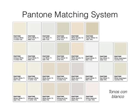 Pantone Matching System Pantone Bone White