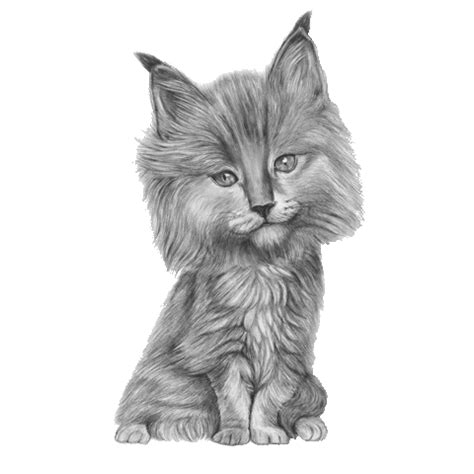 Anime Pussy Stickers Find Share On Giphy