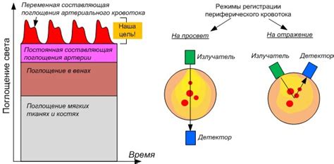 Оптические датчики сердечного ритма. Простой кардиомонитор