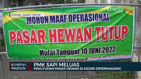 Pmk Sapi Meluas Penutupan Pasar Hewan Di Kediri Diperpanjang Video