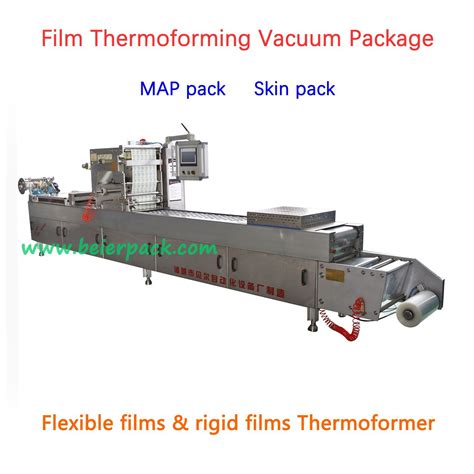 Automatic Nitrogen Flushing Vacuum Food Packer China Packaging