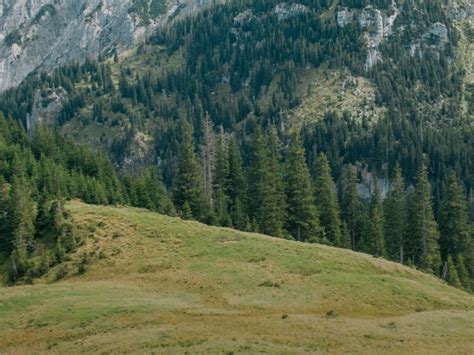 Men's Primaloft® products – Buy Primaloft® products – JACK WOLFSKIN