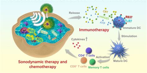 Degradable Multifunctional Porphyrin Based Porous Organic Polymer Nanosonosensitizer For Tumor