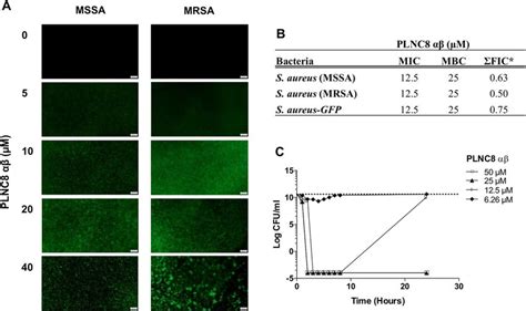 Plnc8 αβ Causes Rapid Permeabilization Of S Aureus Independent Of Download Scientific Diagram