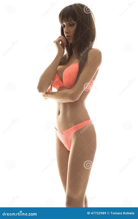 Elegant Woman Posing In Lingerie Stock Image Image Of Makeup Looking 47752989