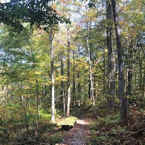 Allegheny National Forest Pennsylvania