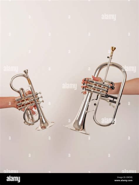 Soprano Cornet And A Flugelhorn Brass Band Instruments Silver Band