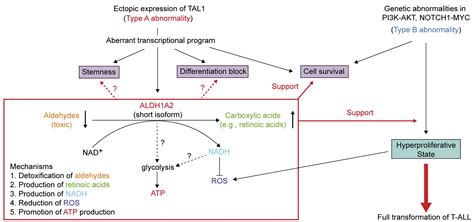 Oncorequisite Role Of An Aldehyde Dehydrogenase In The Pathogenesis Of