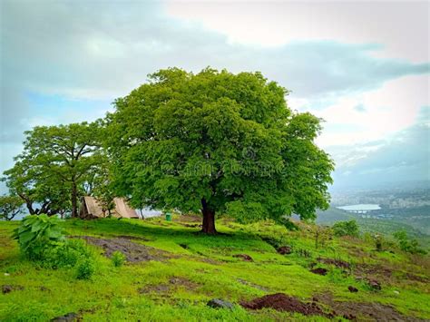 Hills And Mountain Greenery Landscape View Stock Photo Image Of