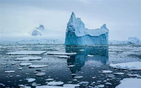 南極雪地變血紅色成「血河」奇觀，散發西瓜味被稱「西瓜雪」 每日頭條