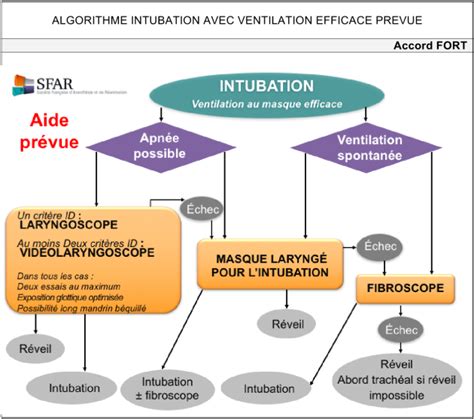 L INTUBATION DIFFICILE DEFINITION ET ALGORITHMES MODULE DE FORMATION