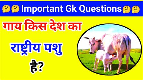 गाय किस देश का राष्ट्रीय पशु है Gk Questions Gk In Hindi Ias