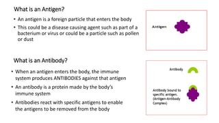 Basics of Immune System | PPT