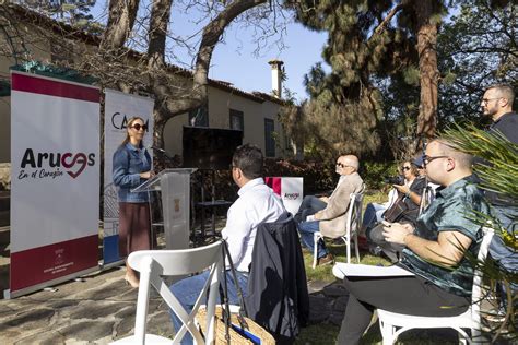 El III Festival Soltura Llena Arucas De Conciertos Arte Y Actividades