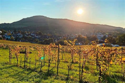 Gr Nde Warum Du Dich Auf Den Herbst Freuen Kannst Freiburg Fudder De