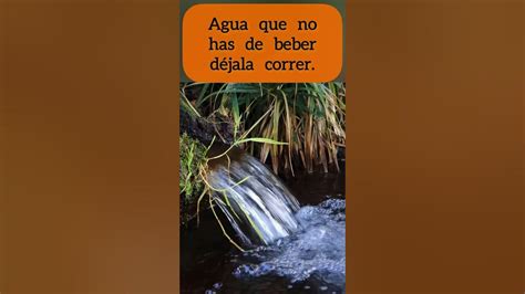 Agua Que No Has De Beber Déjala Correr Reflexiones